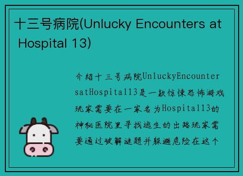 十三号病院(Unlucky Encounters at Hospital 13)